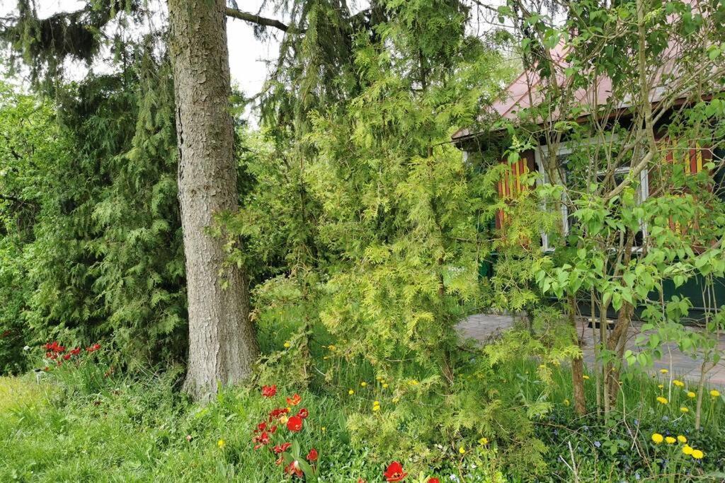 Buglandia Βίλα Parosla Εξωτερικό φωτογραφία