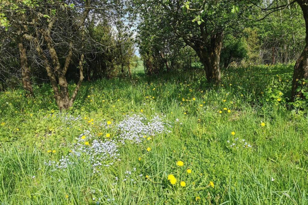 Buglandia Βίλα Parosla Εξωτερικό φωτογραφία